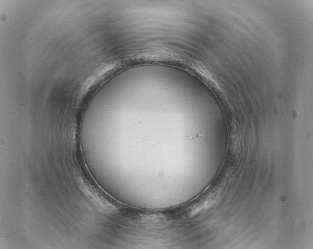 X0000088090446200706011608