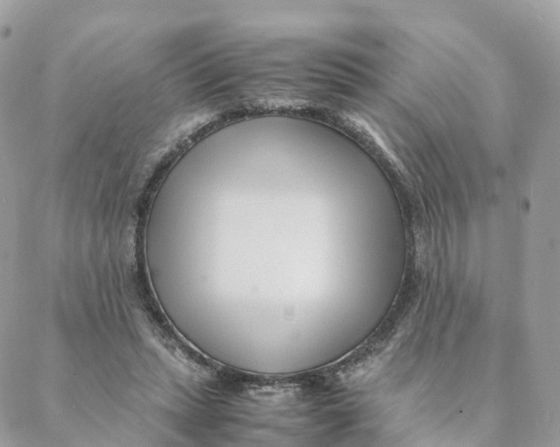 X0000088090447200706011608