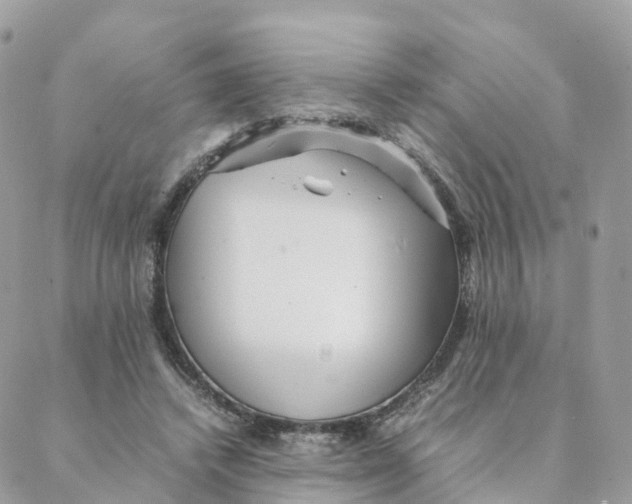 X0000088090448200706011608