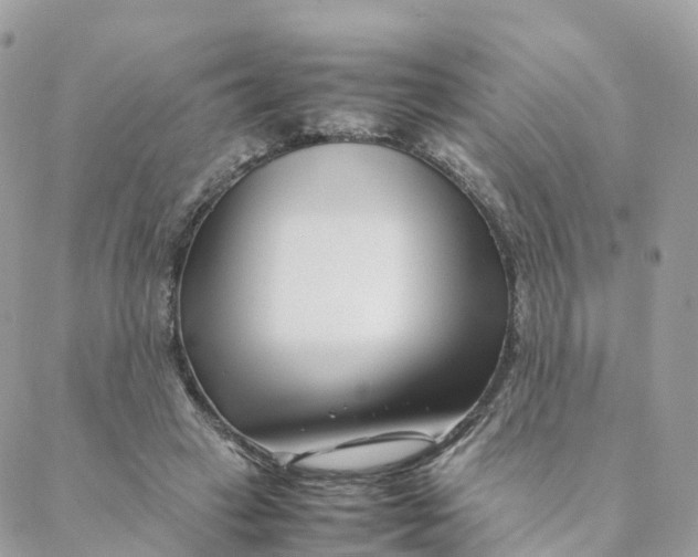 X0000088090449200706011608