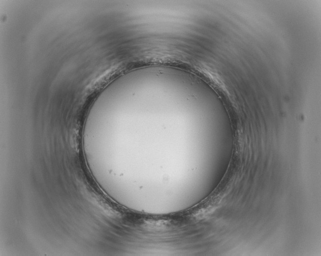 X0000088090450200706011608