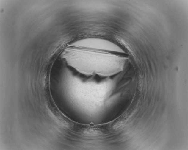 X0000088090451200706011608