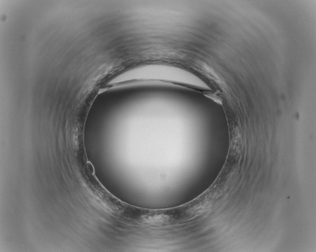 X0000088090452200706011608