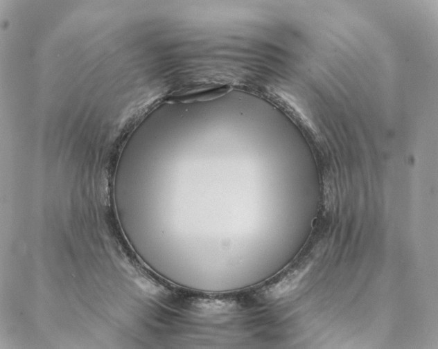 X0000088090453200706011608