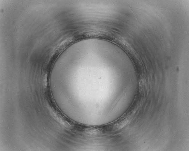 X0000088090454200706011608