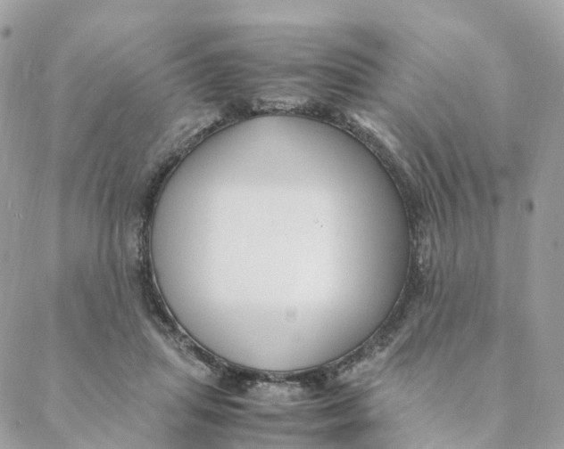 X0000088090455200706011608