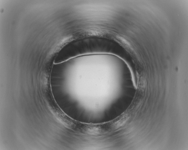 X0000088090456200706011608