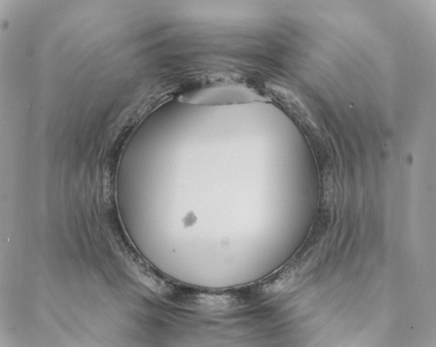 X0000088090457200706011608