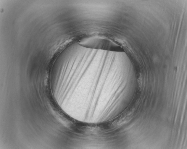 X0000088090458200706011608