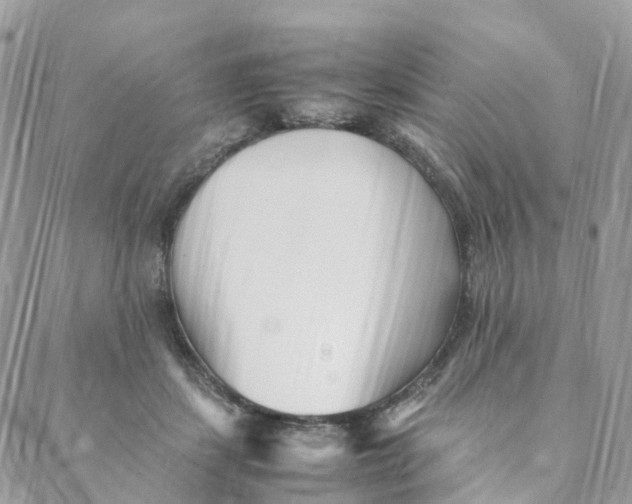 X0000088090459200706011608