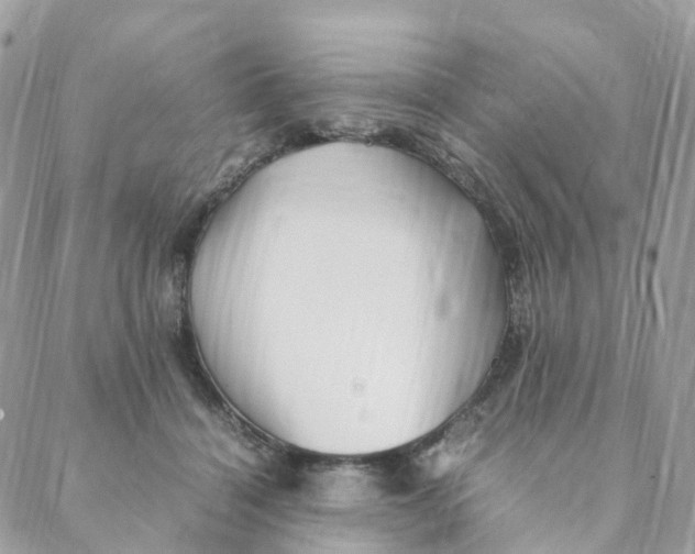 X0000088090460200706011608