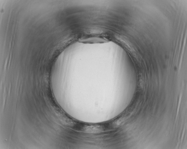 X0000088090461200706011608