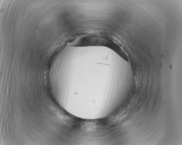 X0000088090462200706011608