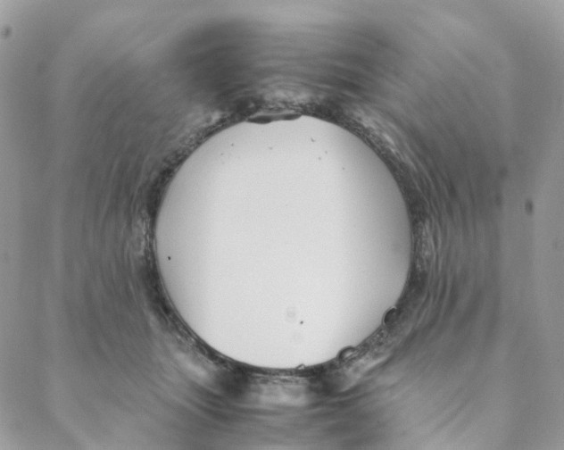 X0000088090463200706011608