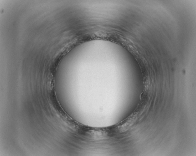 X0000088090464200706011608