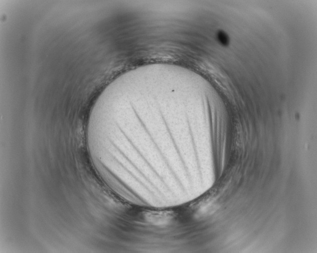 X0000088090465200706011608