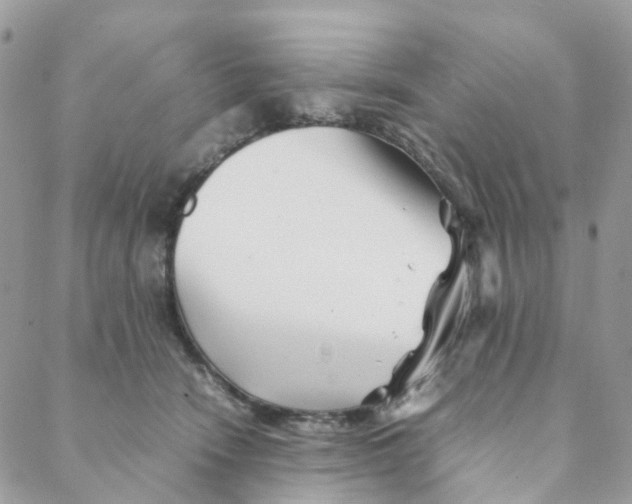 X0000088090466200706011608