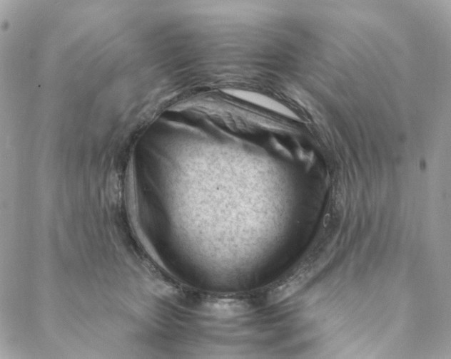 X0000088090467200706011608