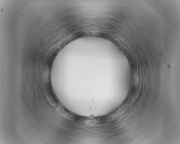 X0000088090468200706011608