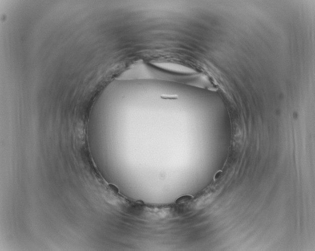 X0000088090469200706011608