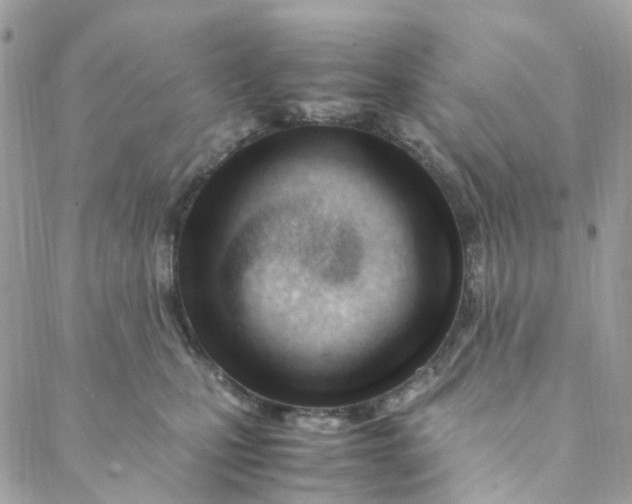 X0000088090471200706011608