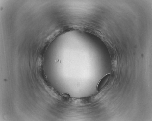 X0000088090472200706011608