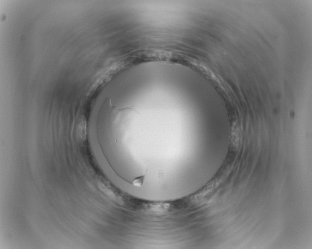 X0000088090474200706011608