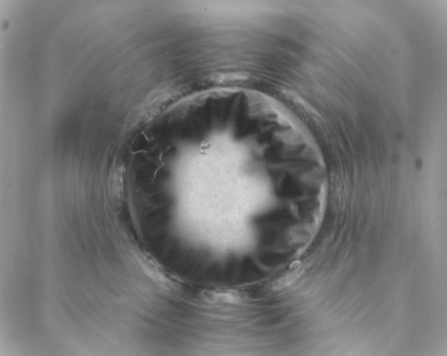 X0000088090475200706011608