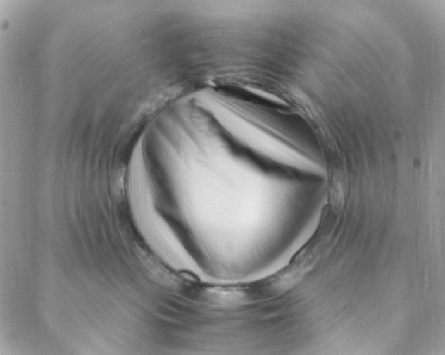 X0000088090477200706011608