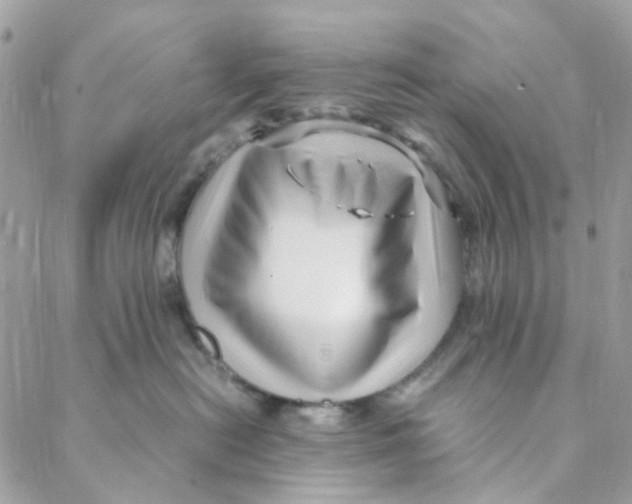 X0000088090478200706011608