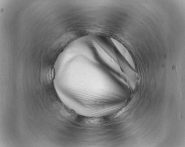 X0000088090479200706011608