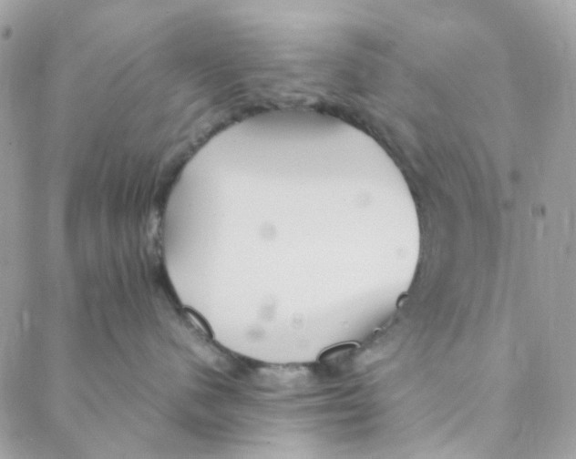 X0000088090480200706011608