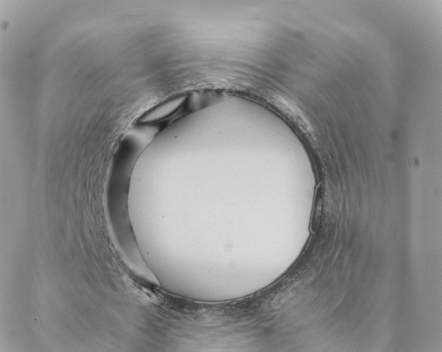 X0000088090481200706011608