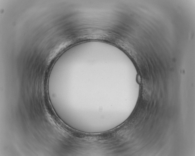 X0000088090482200706011608