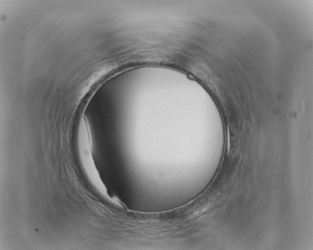 X0000088090483200706011607