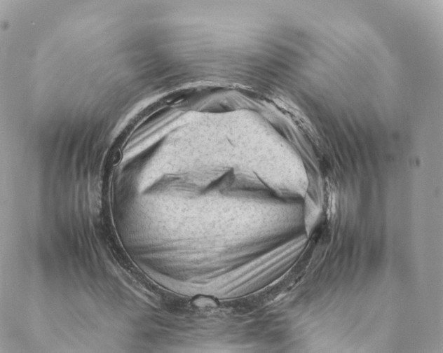 X0000088090484200706011607