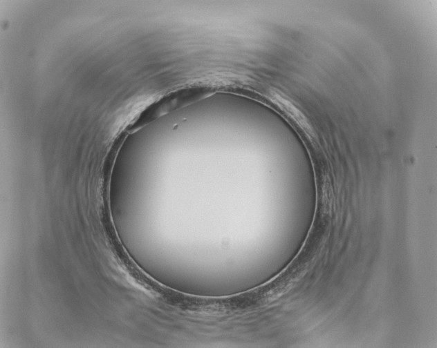 X0000088090485200706011607