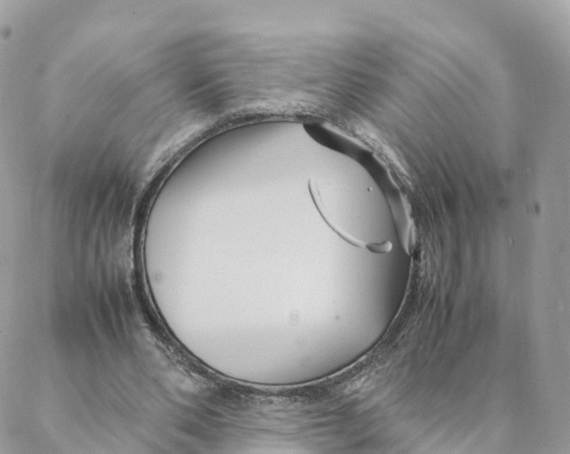 X0000088090486200706011607