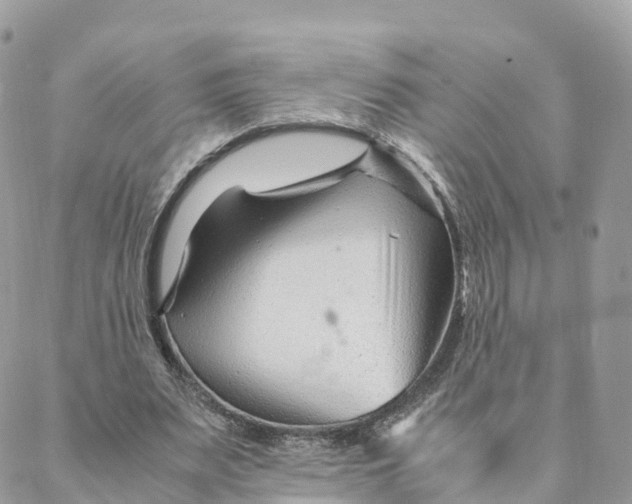 X0000088090487200706011607