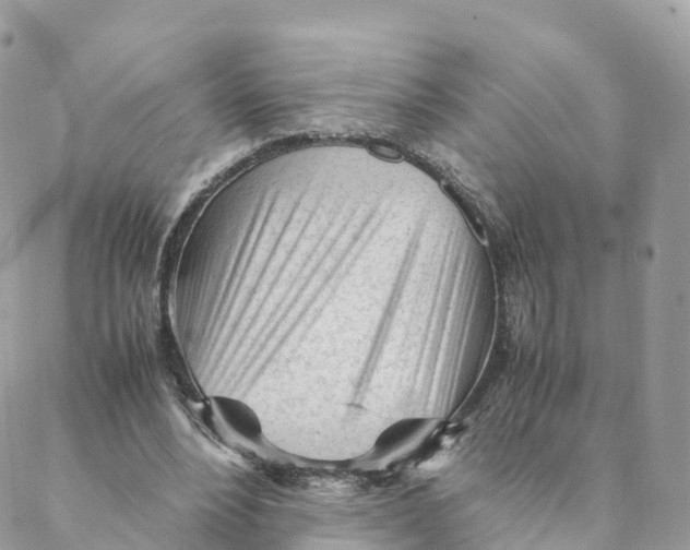 X0000088090488200706011607