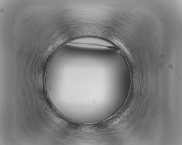 X0000088090489200706011607