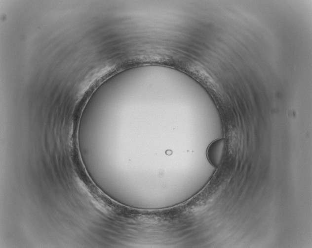 X0000088090490200706011607