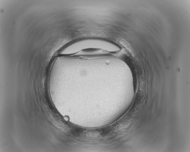 X0000088090491200706011607