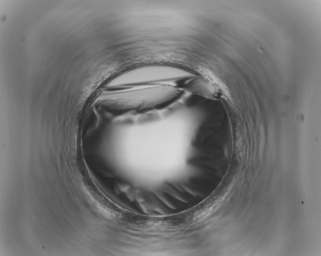 X0000088090493200706011607