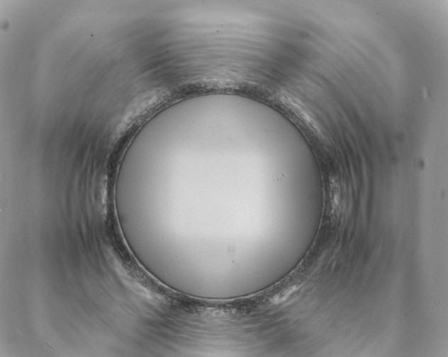 X0000088090494200706011607