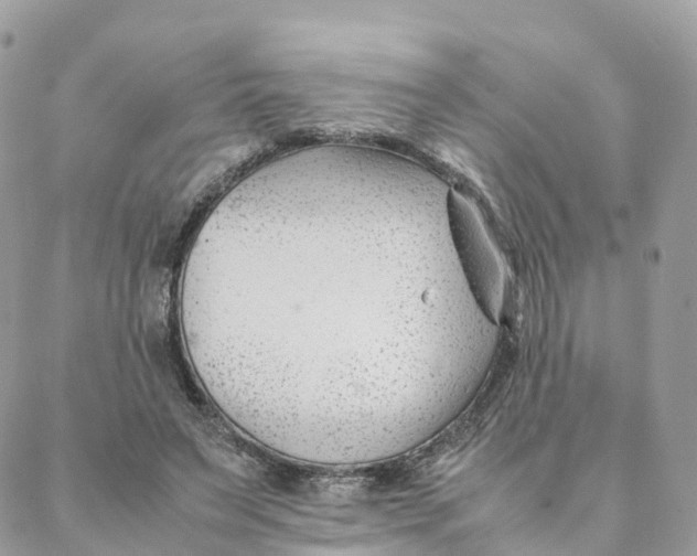 X0000088090495200706011607