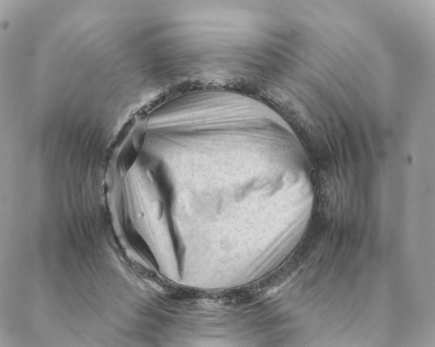 X0000088090496200706011607