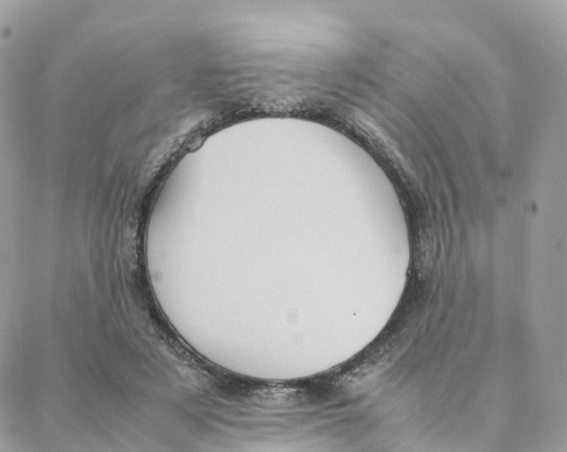 X0000088090497200706011607