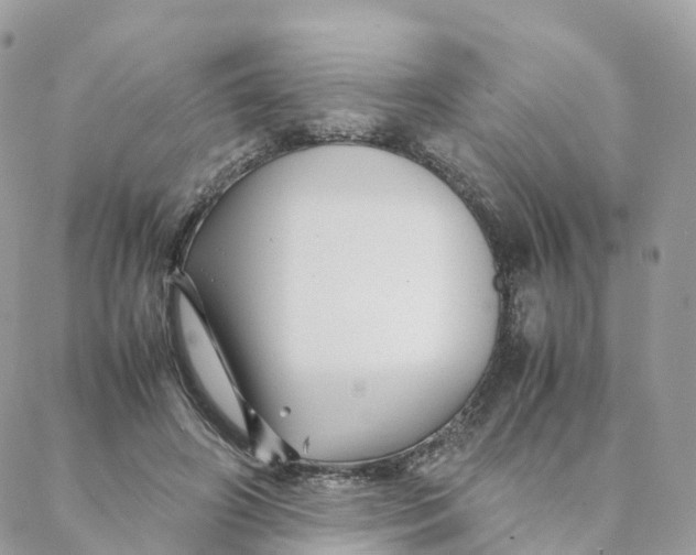 X0000088090498200706011607