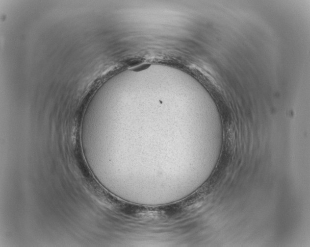 X0000088090499200706011607